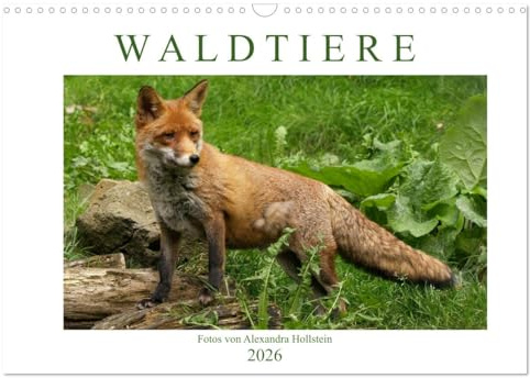 Waldtiere (Wandkalender 2026 DIN A3 quer), CALVENDO Monatskalender: Wolf, Bär, Luchs und Co. (CALVENDO Tiere)