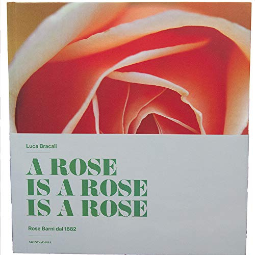 A Rose is a rose is a rose, Rose Barni ®, giardinaggio, coltivazione rosa, libro fotografico, rosa rossa,