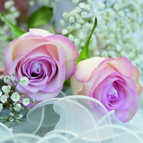 Anniversary House PJ378451 Tiflair Servietten mit romantischer Rose, 3-lagig, Mehrfarbig