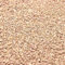 Premium Pebbles Grober Sand. Gelbe Farbe. 0,9 kg. Für Sukkulenten, Töpfe, Pflanzen, Gartenarbeit, Innenbereich, Basteln, Vasenfüller, Landschaftsbau (X-Mini, grober Sand - Gelb, 2)