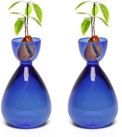 CYZglass Avocado-Vase, Avocado-Samen, Startervasen, Avocado-Bäume, lebende Pflanzen, Anzuchtset, Glas, 2 Stück