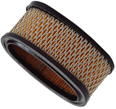 Molloparts 393725 Filtro aria 100-198 Compatibile con John Deere Walk Behind Commercial 32 Trattorino 111 111H Rider R92 S92 Compatibile con Lesco