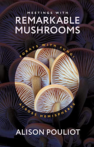 Meetings with Remarkable Mushrooms: Forays with Fungi across Hemispheres