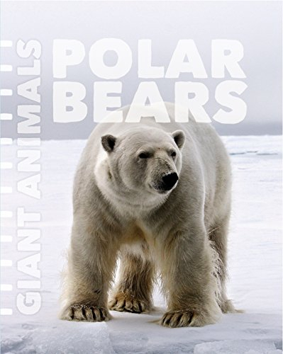 Polar Bears (Giant Animals)