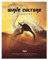 WAVE CULTURE Surfcoach: Trainingsbuch und Travelguide für Wellenreiter