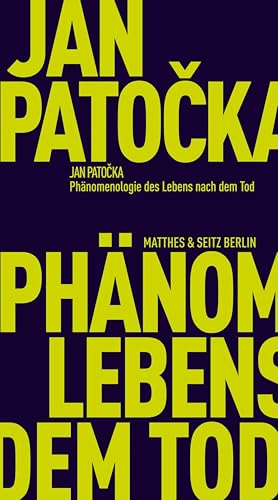 Phänomenologie des Lebens nach dem Tod (Fröhliche Wissenschaft)