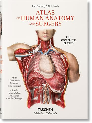 Bourgery. Atlas de anatomía humana y cirugía (Bibliotheca Universalis)