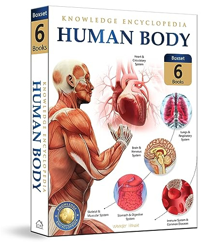 Human Body Box Set: Knowledge Encyclopedia For Children