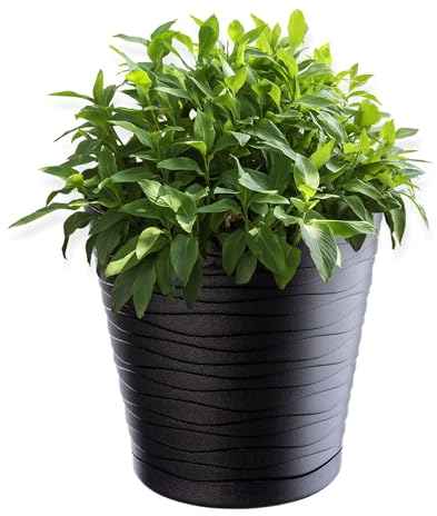 KADAX Blumentopf mit Untersetzer, Pflanzkübel für Innen, Leichter Blumenkübel, Pflanztopf aus Kunststoff, runder Übertopf für Blumen, Pflanzen, Haus, Pflanzgefäß (17cm, anthrazit)