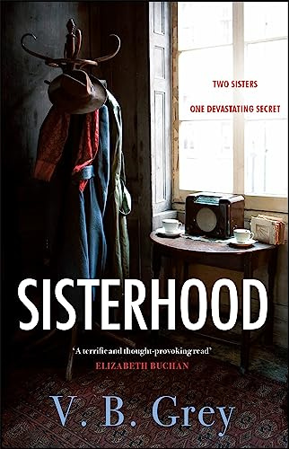 Sisterhood: A heartbreaking mystery of family secrets and lies