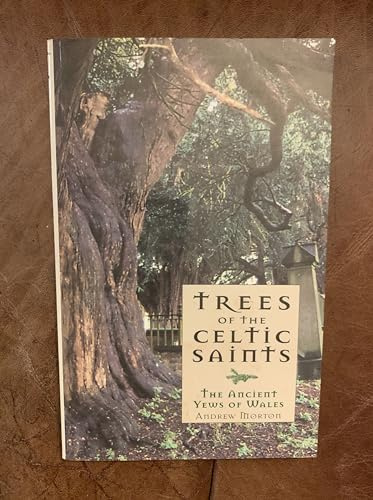 Trees of the Celtic Saints The Ancient Yews of Wales