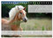 Haflinger/Geburtstagskalender (Tischkalender 2025 DIN A5 quer), CALVENDO Monatskalender