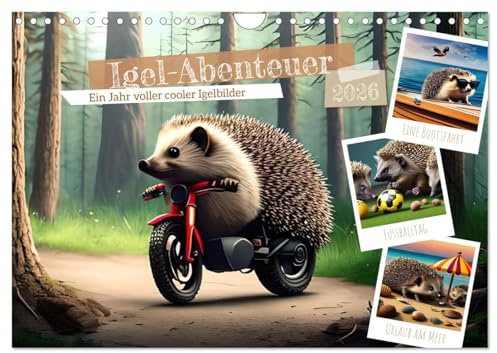 Igel-Abenteuer (Wandkalender 2026 DIN A4 quer), CALVENDO Monatskalender: Lustiger Kalender mit stacheligen Gesellen (CALVENDO Tiere)