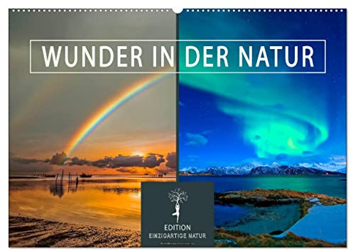 Wunder in der Natur (Wandkalender 2026 DIN A2 quer), CALVENDO Monatskalender