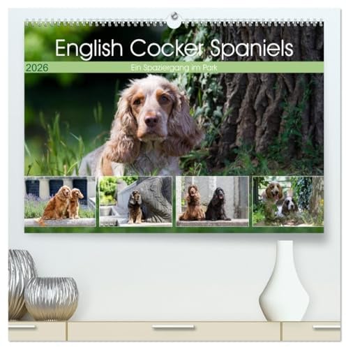 English Cocker Spaniels - Ein Spaziergang im Park (hochwertiger Premium Wandkalender 2026 DIN A2 quer), Kunstdruck in Hochglanz: English Cocker Spaniel im Park auf der Mathildenhöhe (CALVENDO Tiere)