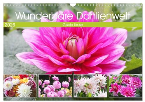Wunderbare Dahlienwelt (Wandkalender 2026 DIN A3 quer), CALVENDO Monatskalender: Die Königin des Spätsommers in farbenfroh leuchtenden Fotografien (CALVENDO Natur)