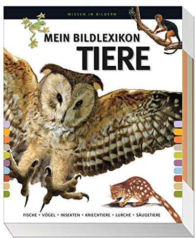Mein großes Bildlexikon Tiere: Fische, Vögel, Insekten, Kriechtiere, Lurche, Säugetiere.