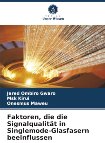 Faktoren, die die Signalqualität in Singlemode-Glasfasern beeinflussen