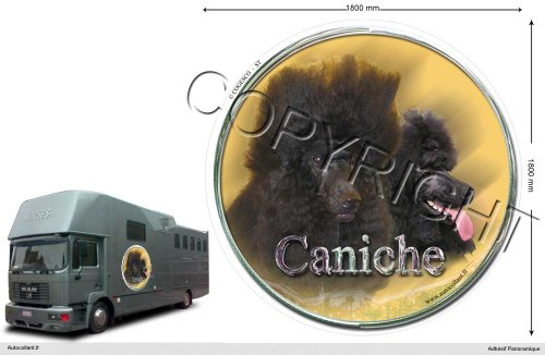 Circular Aufkleber Hund 180 Cm Pudel
