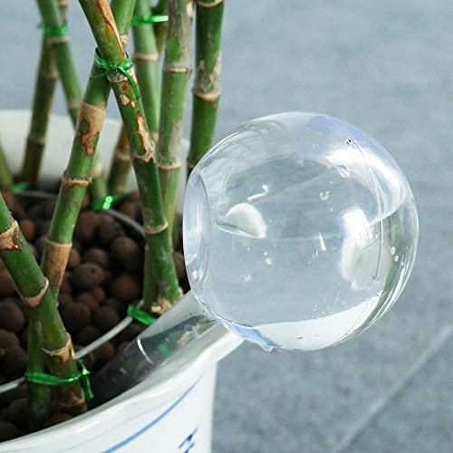 Casa/Jardín Agua Planta de Interior Tiesto Bulbo de riego automático Auto Dispositivo, 13cm x5cm Verde