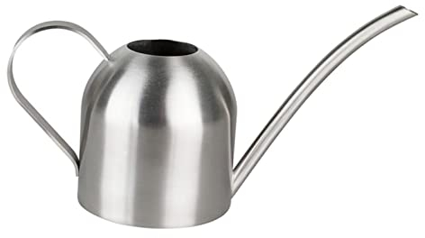 Generic Gießkanne, 1000ml Kleine Gießkanne, Edelstahl Garten Gießkanne, Retro Büro-Gießkanne, Zimmerpflanzen Gießkanne mit komfortablem Griff, Langer Auslauf, Starker Körper für drinnen und draußen