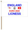 England Women's Football Lioness Switzerland 9'' x 6'' Flag With Wooden Base