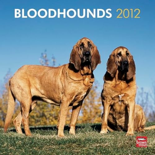 Bloodhounds 2012 (Wall-Kalender)