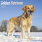 Golden Retriever 2021 Wall Calendar