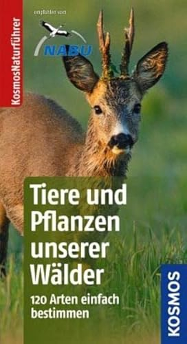 Tiere und Pflanzen unserer Wälder: 120 Arten einfach bestimmen (Kosmos-Naturführer Basics)