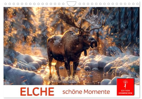 Elche - schöne Momente (Wandkalender 2026 DIN A4 quer), CALVENDO Monatskalender: Wunderschöne Wildtiere Skandinaviens entdecken. (CALVENDO Tiere)