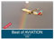 Best of Aviation (Wandkalender 2026 DIN A4 quer), CALVENDO Monatskalender