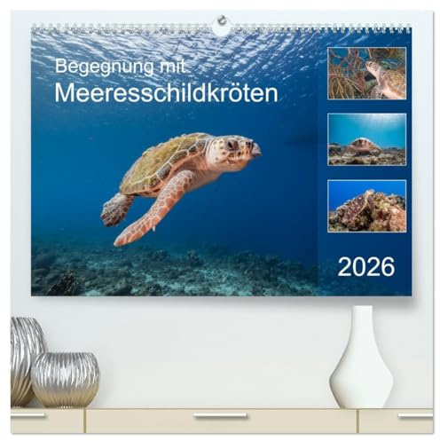 Begegnung mit Meeresschildkröten (hochwertiger Premium Wandkalender 2026 DIN A2 quer), Kunstdruck in Hochglanz: Treffen mit Meeresschildkröten sind besondere Momente! (CALVENDO Tiere)
