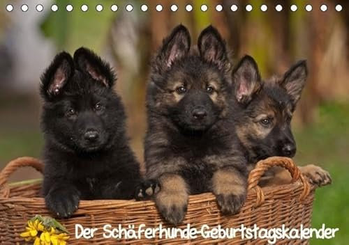 Der Schäferhunde-Geburtstagskalender (Tischkalender immerwährend DIN A5 quer): Immerwährender Geburtstagskalender (Tischkalender, 14 Seiten) (CALVENDO ... [Kalender] [Oct 16, 2013] Mauersberger, Tina