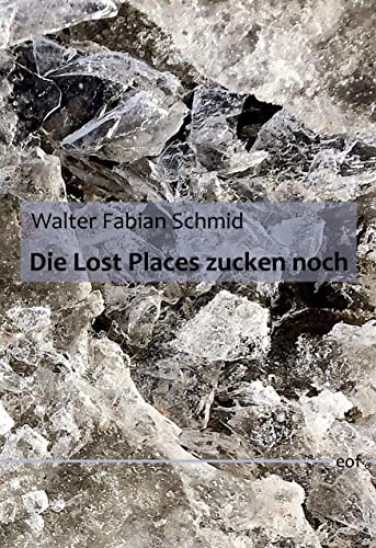 Die Lost Places zucken noch: Gedichte (edition offenes feld)