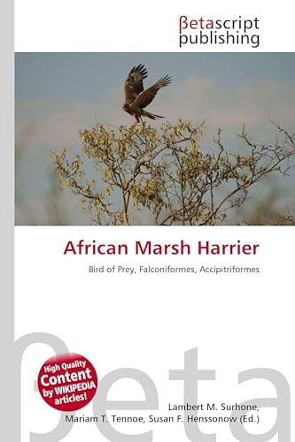 African Marsh Harrier: Bird of Prey, Falconiformes, Accipitriformes