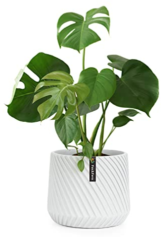 Fox & Fern Macetero, Maceteros Decorativos Interior, Macetas Exterior Grandes, Una Maceta Grande Plantas y Flores Resistente a Rayos UV y Heladas, Maceteros Exterior Tapón de Drenaje, Polystone