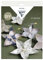Clairefontaine 97712C - Origami Set Girlande 20,5x1,5x30cm, ideal als DIY Aktivität, 1 Set