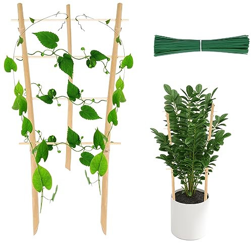 Bamboo Trellis for Climbing Plants 16 Inch 4 Pack Fan-Shaped Natural Small Bamboo Lattice Mini Wooden Plant Support Trellace Climber for Potted Houseplants Rose Pothos Monstera Indoor Outdoor Garden