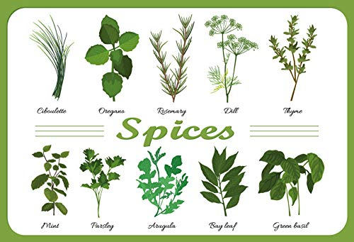 Ontrada Blechschild 30x40cm gewölbt Spices Küchenkräuter Küche Deko Geschenk Schild