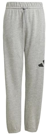 adidas Unisex Kids Essentials Big Logo Pants, Medium Grey Heather/Black, 11-12 Years