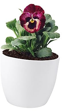TINEASUR Pot jardinières pour Plantes d'intérieur Jardin jardinière à arrosage Automatique contenants de Plantes Grasses Jardiniere Plastique jardinière Plastique Blanche