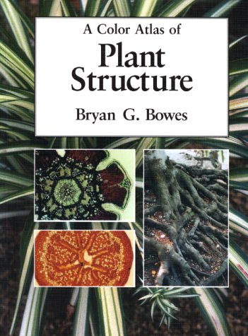 A Color Atlas of Plant Structure