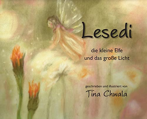 Lesedi, die kleine Elfe und das grosse Licht