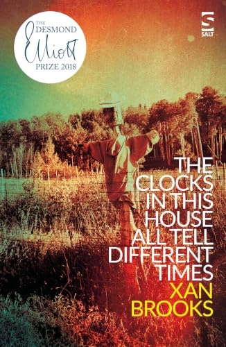 The Clocks in This House All Tell Different Times (Salt Modern Fiction)
