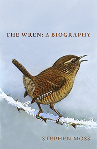 The Wren: A Biography: The Secret Life of Britain's Most Common Bird