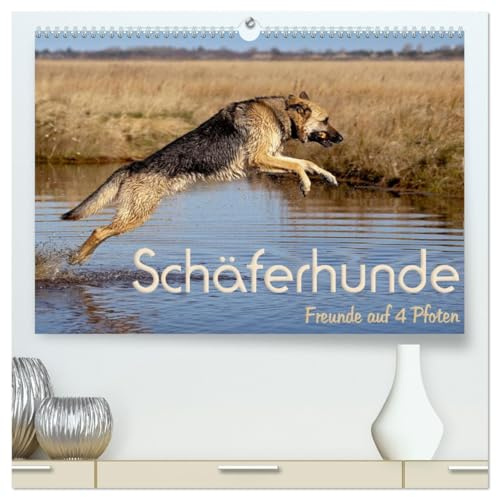 Schäferhunde - Freunde auf 4 Pfoten (hochwertiger Premium Wandkalender 2026 DIN A2 quer), Kunstdruck in Hochglanz: Die Vielseitigkeit einer wunderbaren Hunderasse. (CALVENDO Tiere)