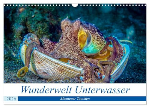 Wunderwelt Unterwasser (Wandkalender 2026 DIN A3 quer), CALVENDO Monatskalender: Tauchen in Moaboal/Philippinen (CALVENDO Tiere)