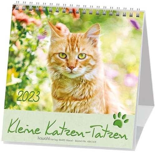 Kleine Katzen-Tatzen 2023: Postkarten-Kalender