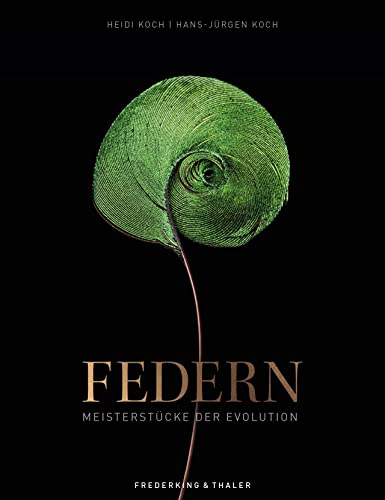 Federn: Meisterstücke der Evolution