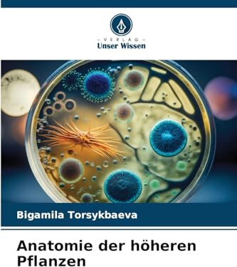 Anatomie der höheren Pflanzen